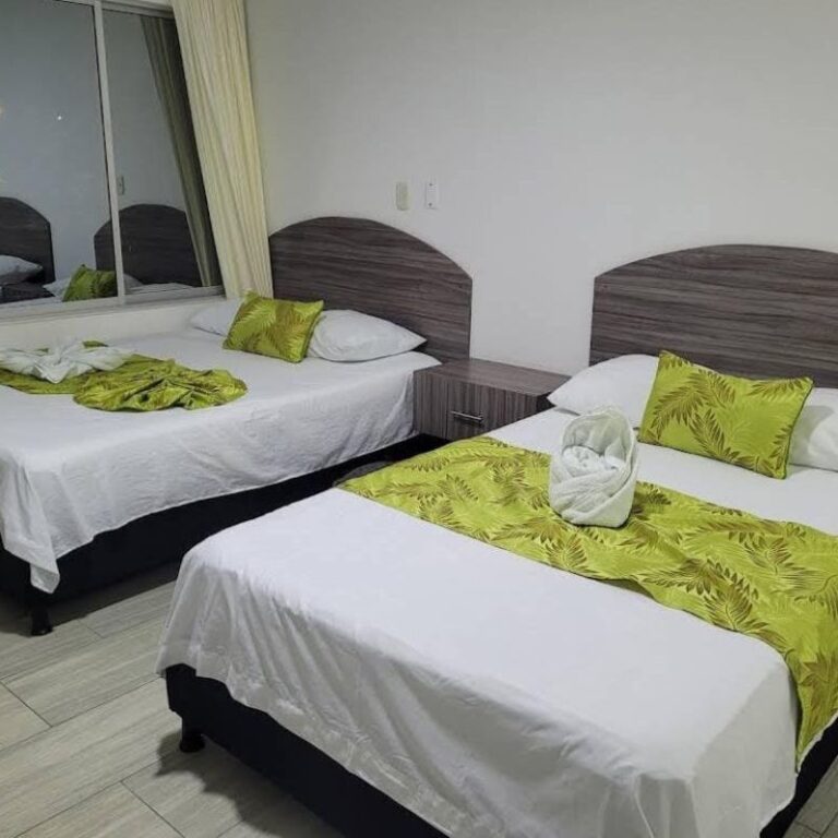 Avistamiento de ballenas 10