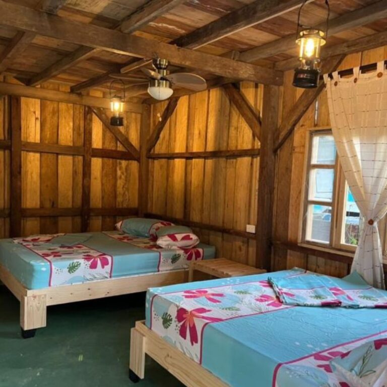 Avistamiento de ballenas 11