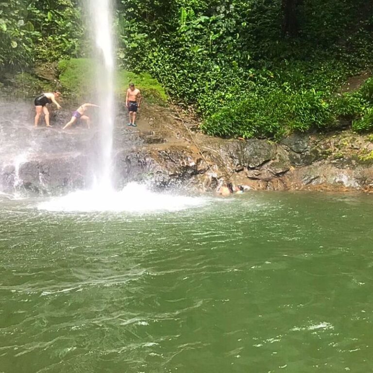 avistamiento-de-ballenas-2025