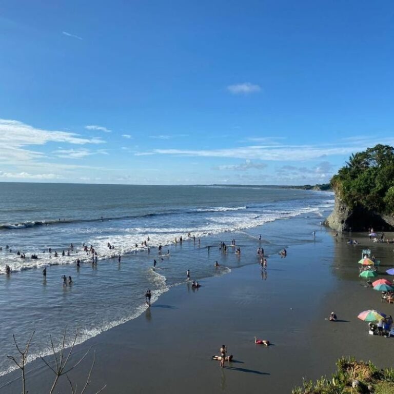 avistamiento-de-ballenas-2025