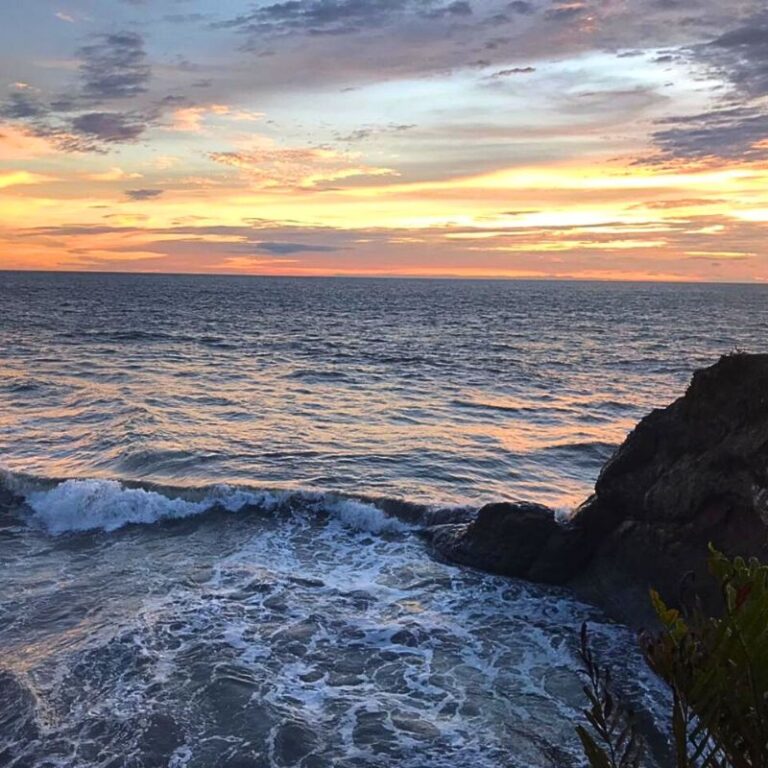 avistamiento-de-ballenas-2025