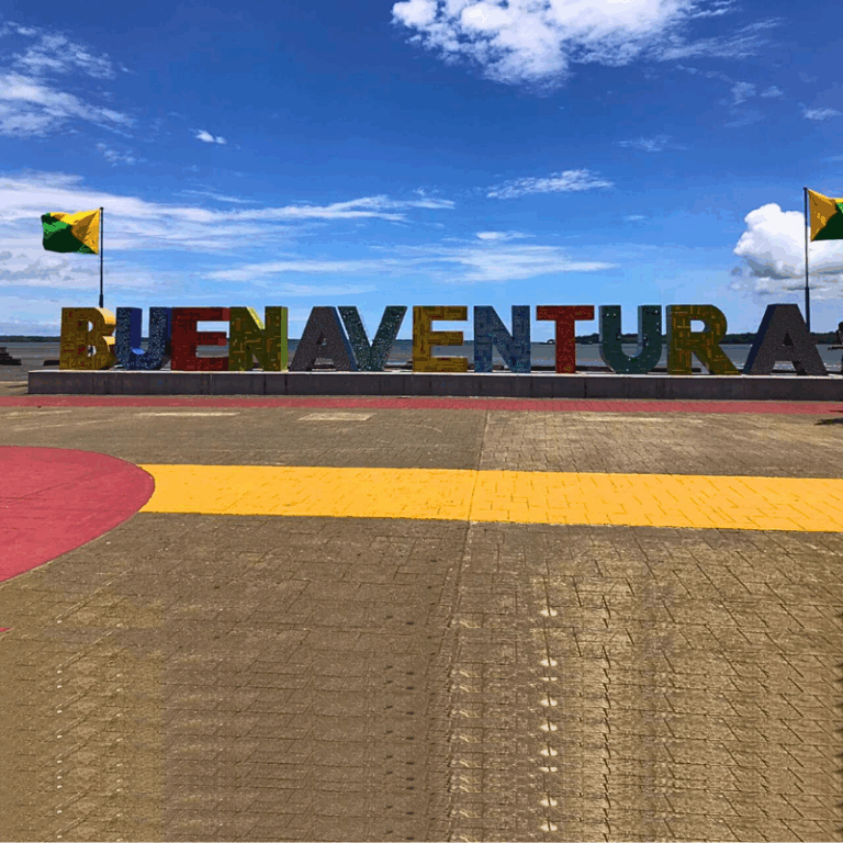 avistamiento-de-ballenas-2025