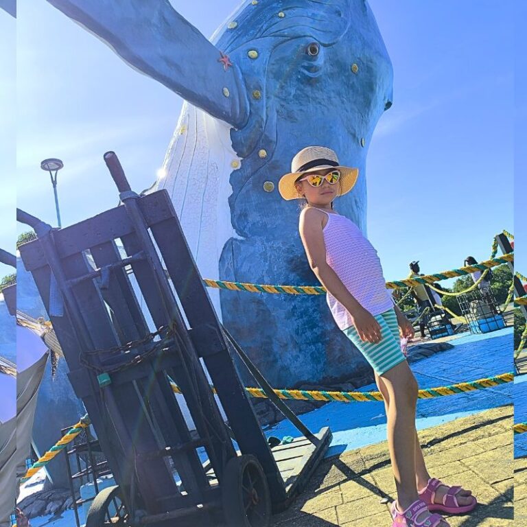 avistamiento-de-ballenas-2025