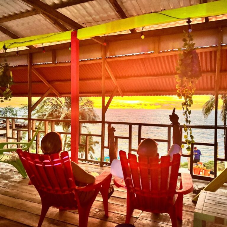 avistamiento-de-ballenas-2025