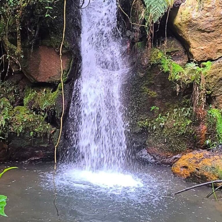 peña-de-las-aguilas-3