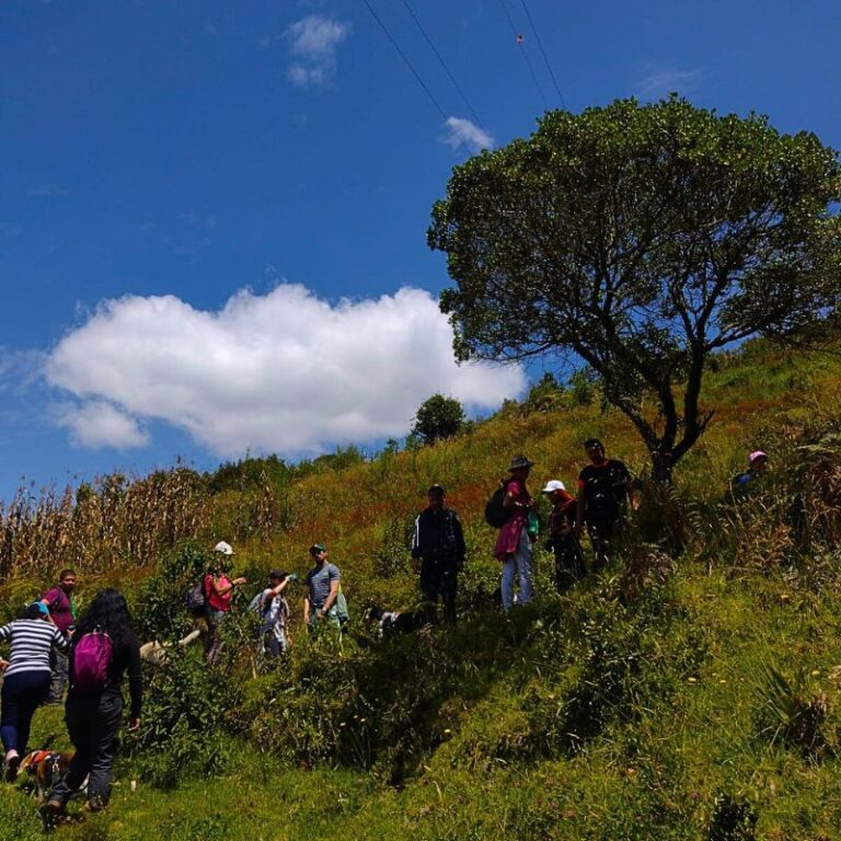 caminata-pet-friendly
