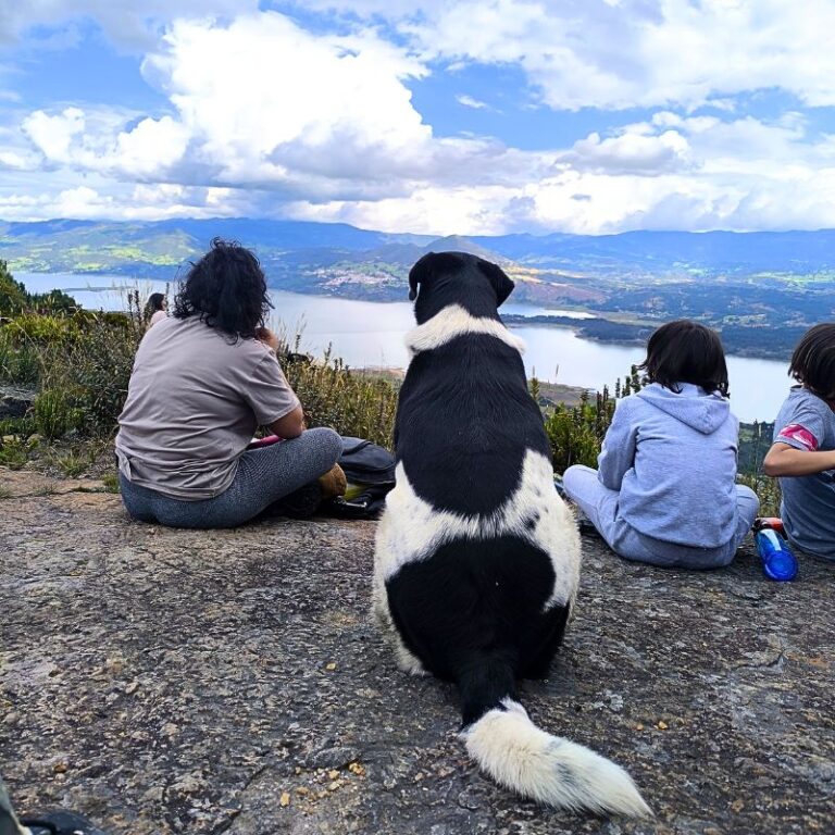 plan-pet-friendly
