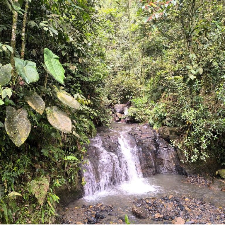 CASCADAS-EL-CHUPAL-7