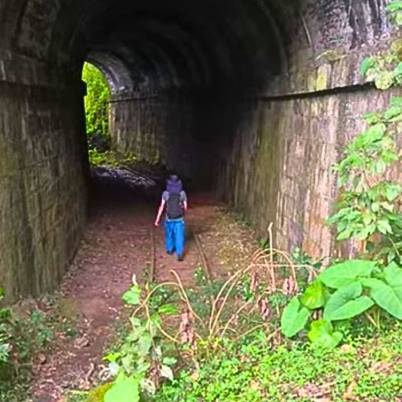 Albán-vía-férrea-2