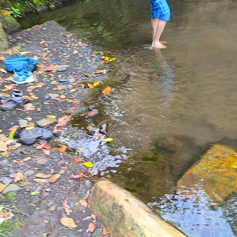 Albán-vía-férrea-7