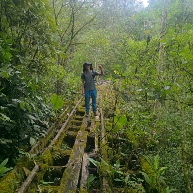 Albán-vía-férrea-1