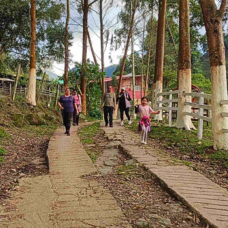 caminata-parque-san-rafael