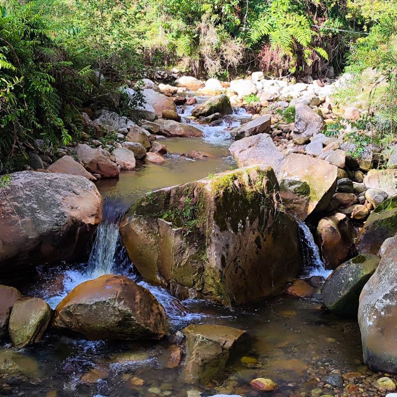 caminata-parque-san-rafael-3