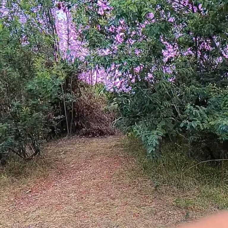 aventura-en-suesca-2