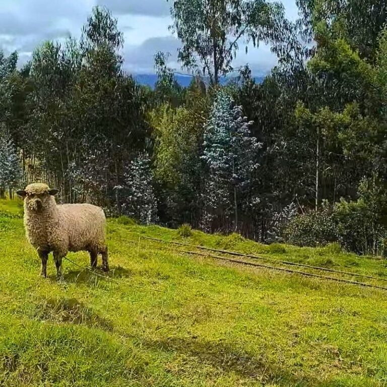 aventura-en-suesca-6