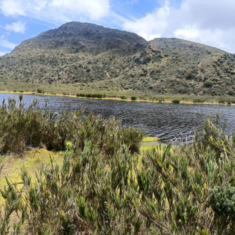 Páramo-chingaza-12