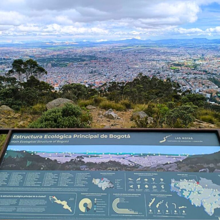 sendero-las-moyas-2