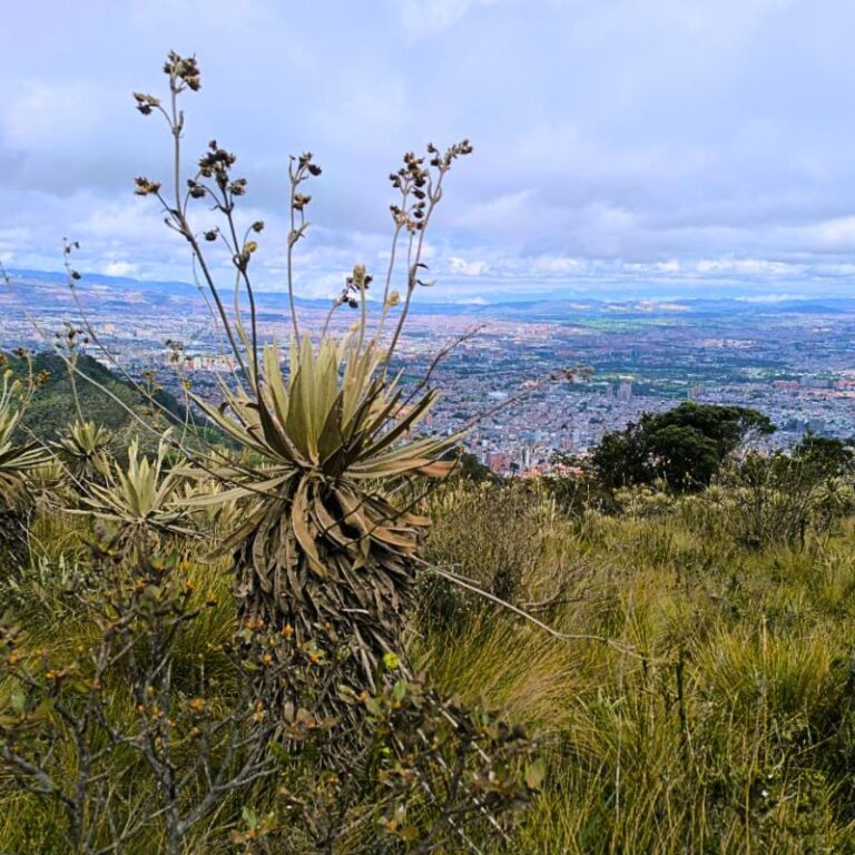 sendero-las-moyas-5