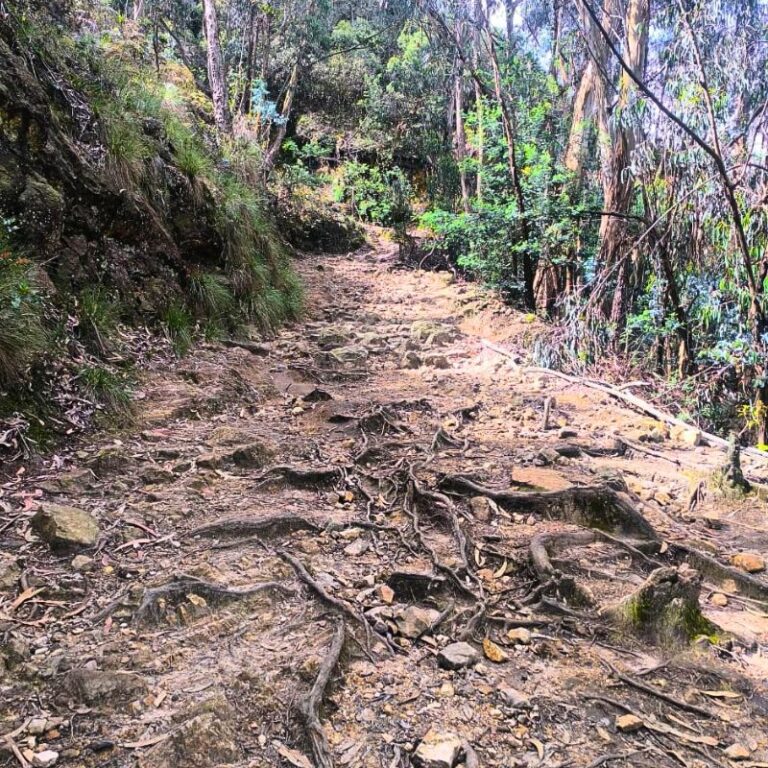 sendero-las-moyas-6