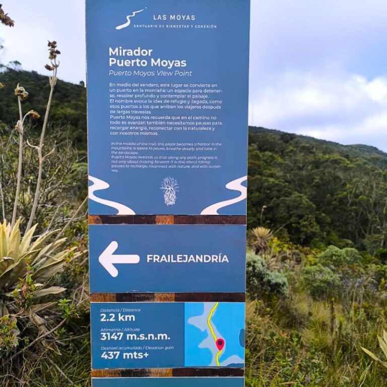 sendero-las-moyas-8