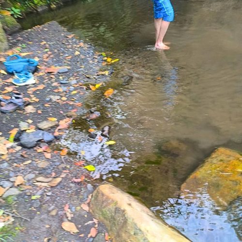 Albán-vía-férrea-7