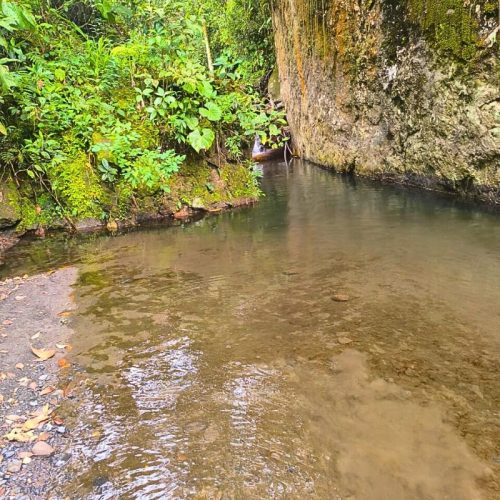 Albán-vía-férrea-5