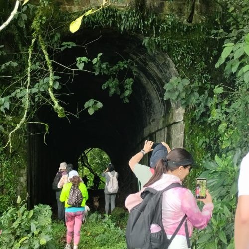 WhatsApp Image 2026-04-01 at 7.27.07 PM (1)