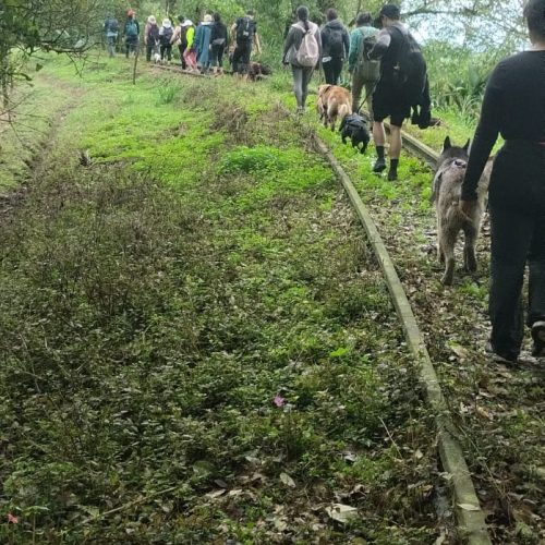 WhatsApp Image 2026-04-01 at 7.27.07 PM