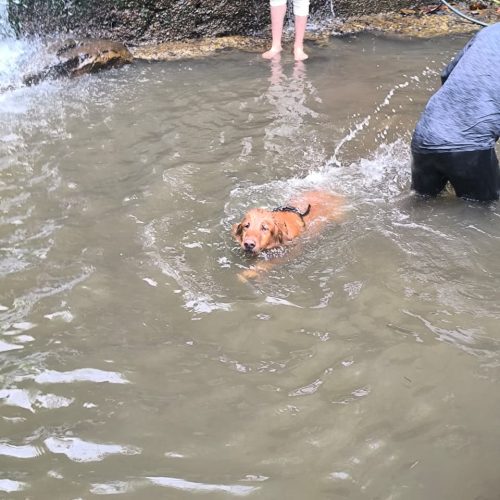 WhatsApp Image 2026-04-01 at 7.42.43 PM