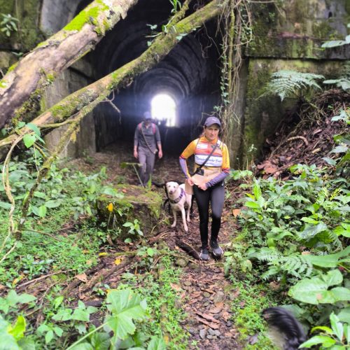 WhatsApp Image 2026-04-01 at 7.48.00 PM (1)