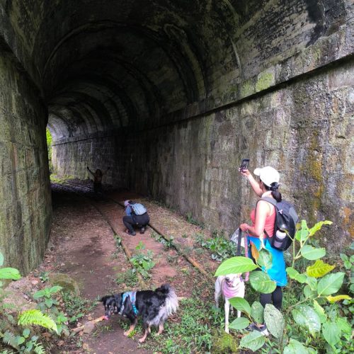 WhatsApp Image 2026-04-01 at 7.48.00 PM